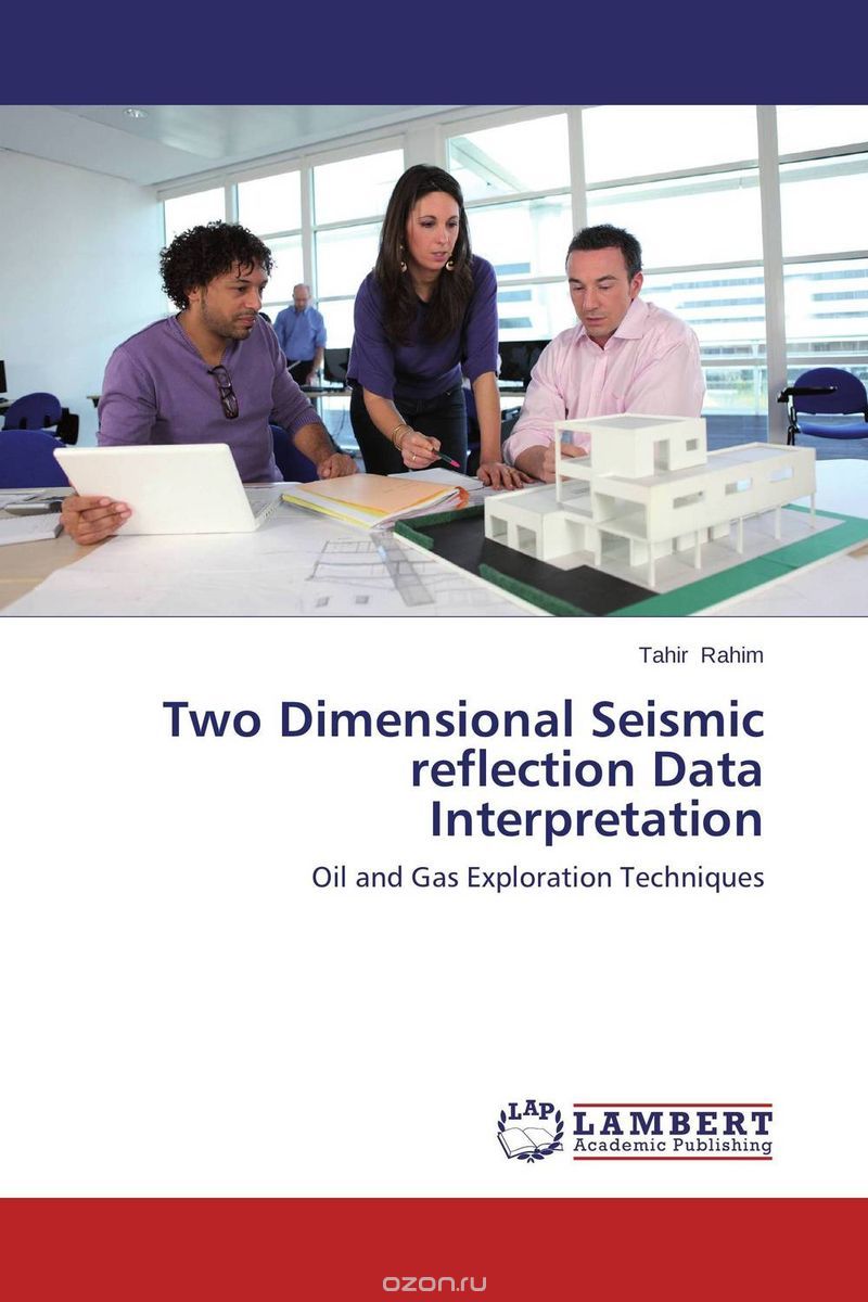 Two Dimensional Seismic reflection Data Interpretation