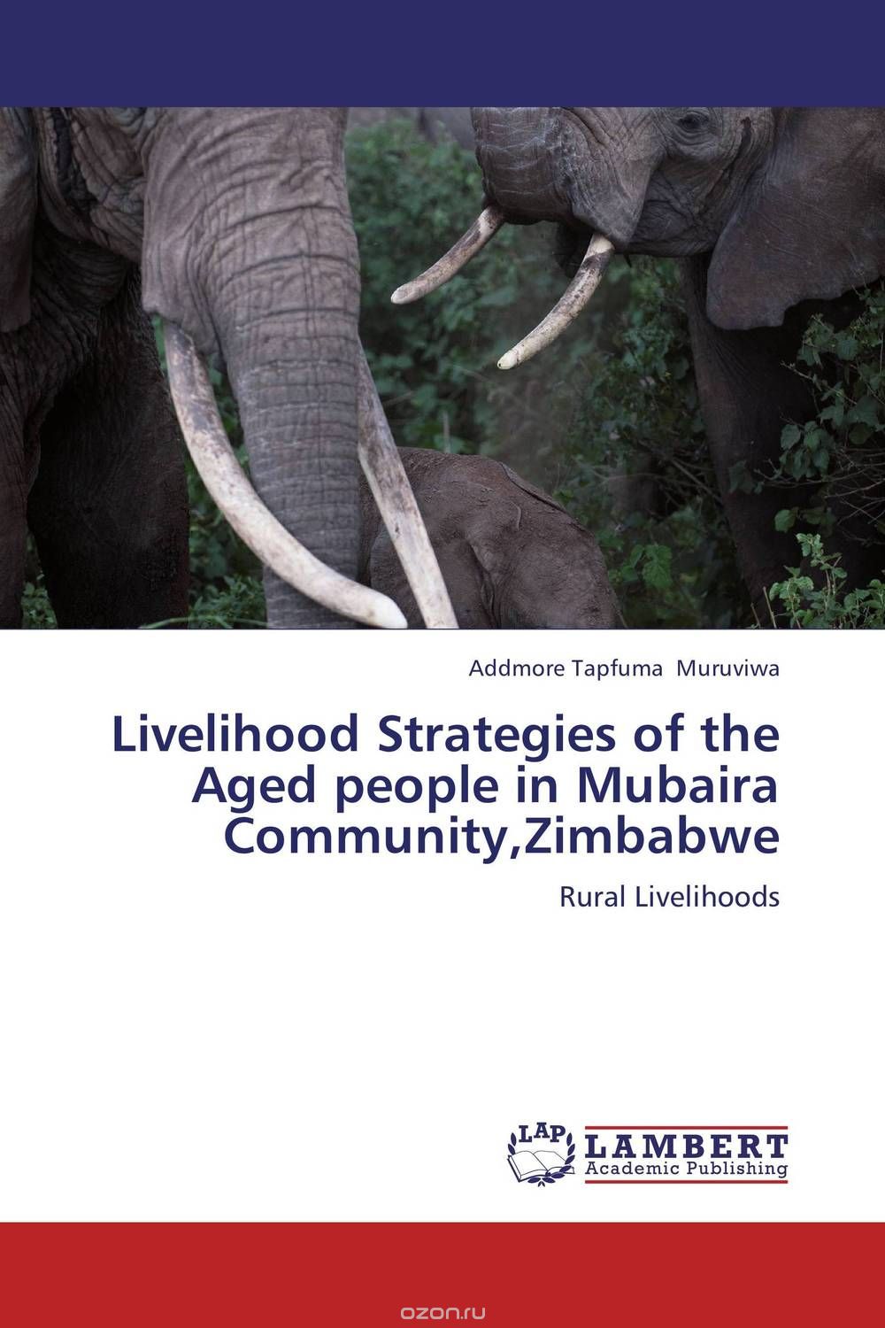 Livelihood Strategies of the Aged people in Mubaira Community,Zimbabwe