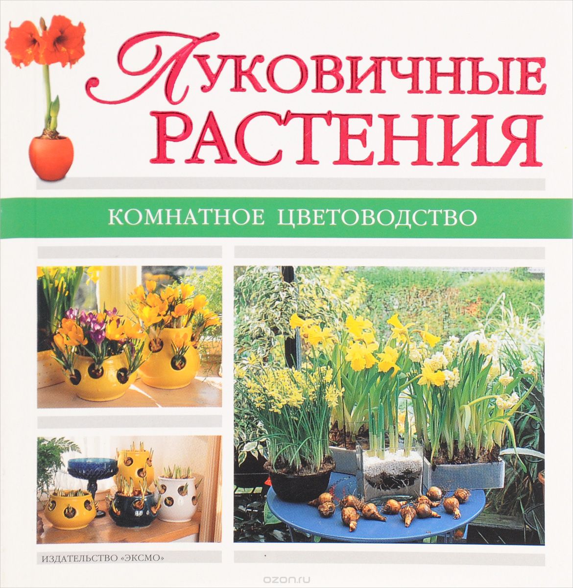 Скачать книгу "Луковичные растения, А. Лимаренко, Т. Палеева"