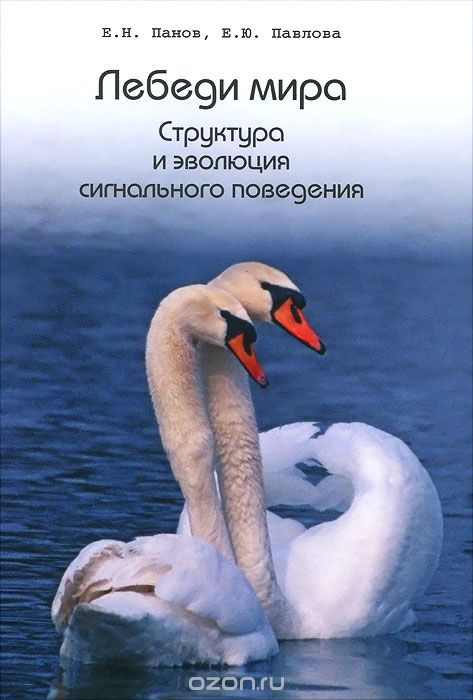 Скачать книгу "Лебеди мира. Структура и эволюция сигнального поведения, Е. Н. Панов, Е. Ю. Павлова"