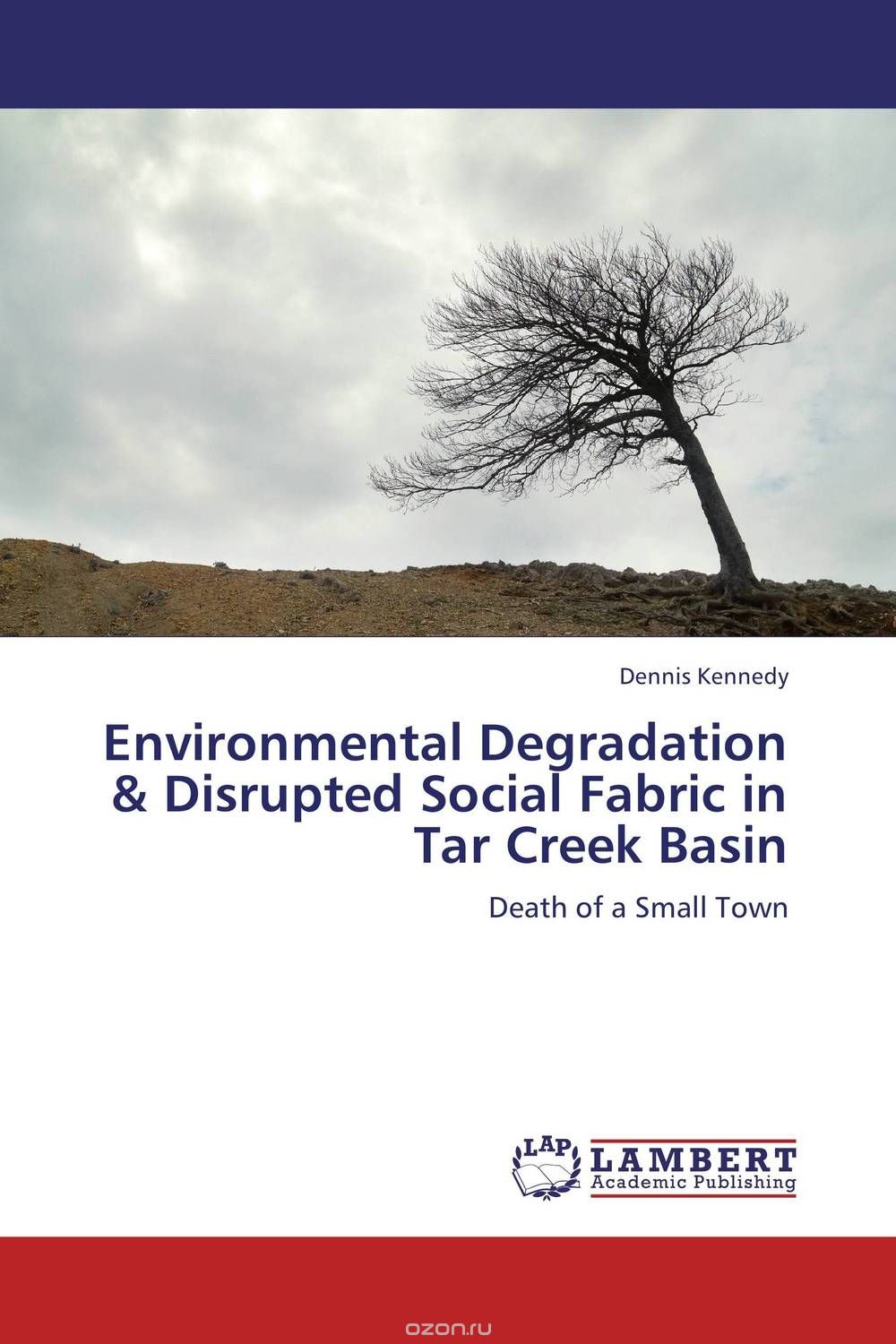 Скачать книгу "Environmental Degradation & Disrupted Social Fabric in Tar Creek Basin"