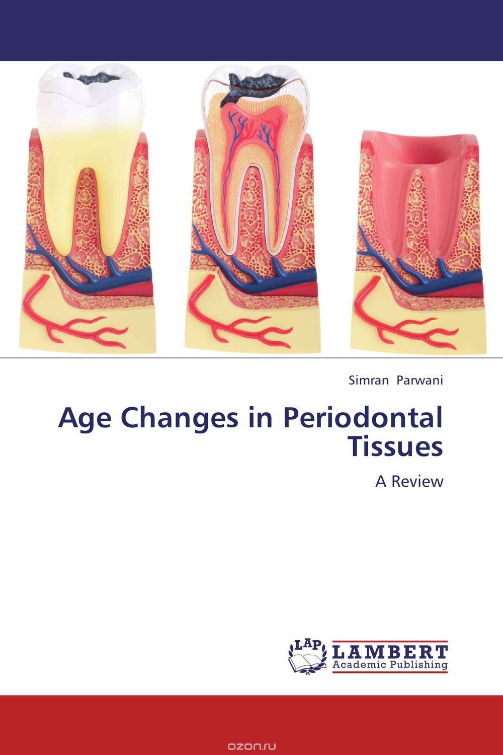 Скачать книгу "Age Changes in Periodontal Tissues"