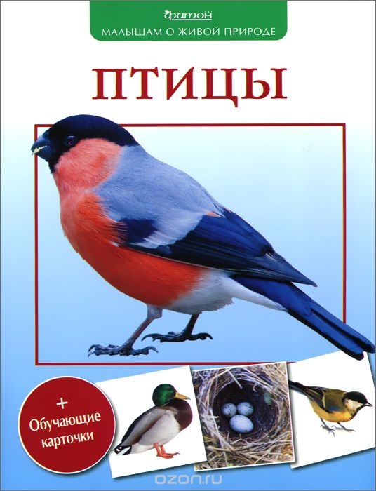 Скачать книгу "Птицы, В. А. Вишневский"