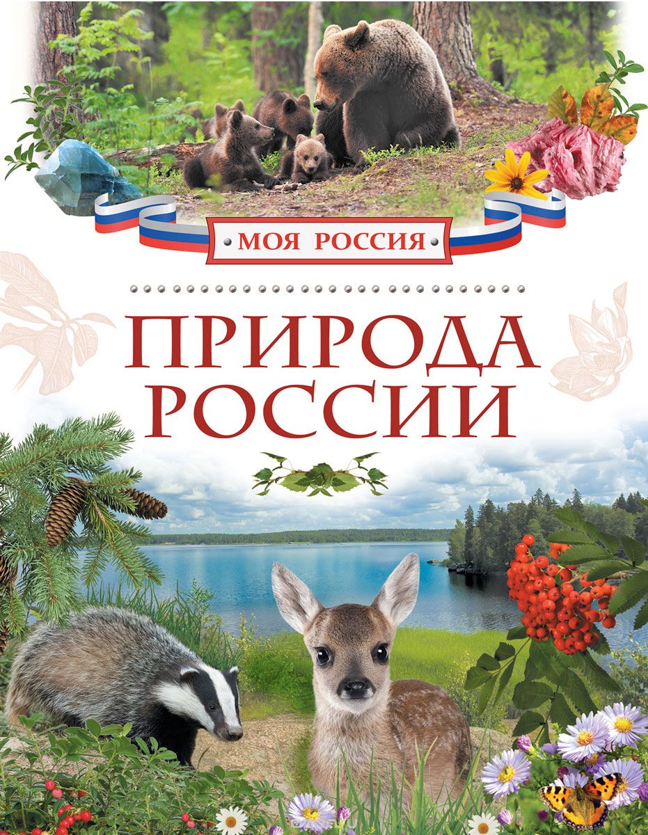 Скачать книгу "Природа России, Н. В. Мокиевская, И. В. Рысакова"