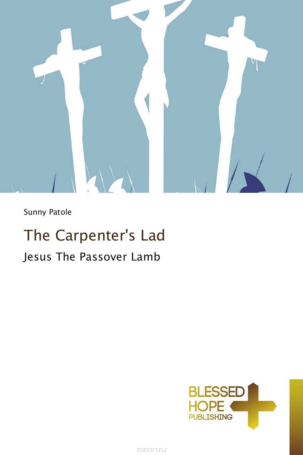 Скачать книгу "The Carpenter's Lad"