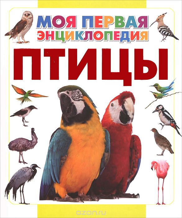 Птицы, Д. В. Кошевар