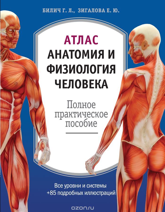 Скачать книгу "Атлас. Анатомия и физиология человека, Билич Г.Л., Зигалова Е.Ю."