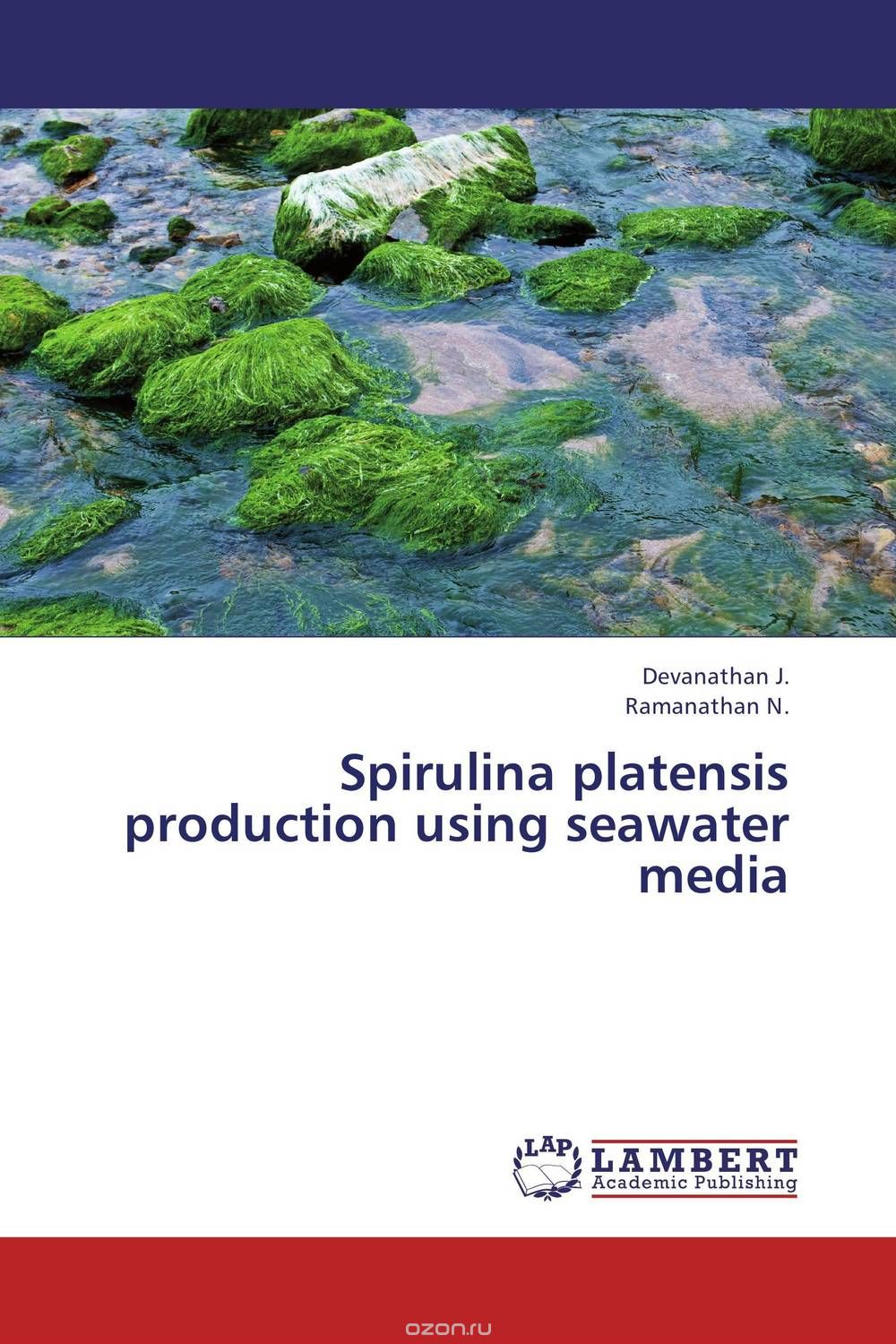 Spirulina platensis  production using seawater media