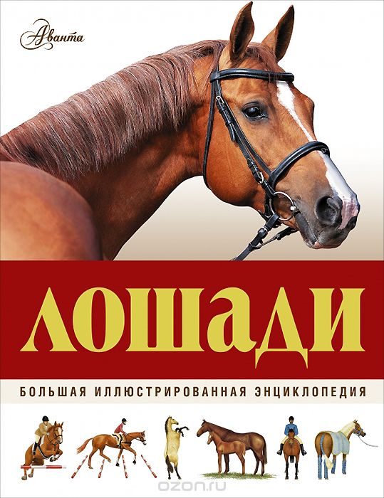 Скачать книгу "Лошади. Большая иллюстрированная энциклопедия, Джейн Холдернесс-Роддам"