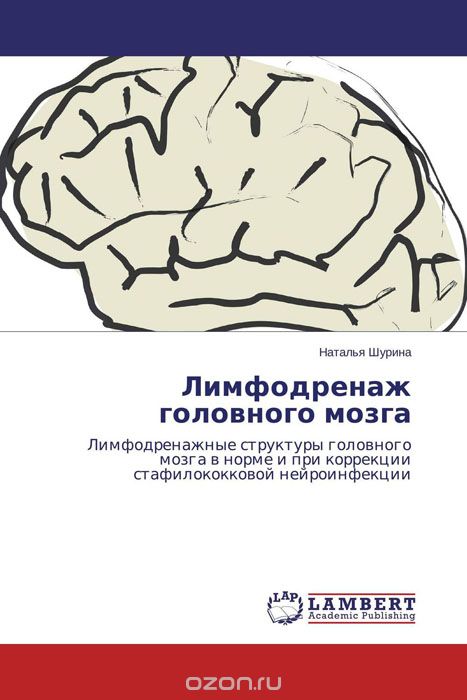 Лимфодренаж головного мозга