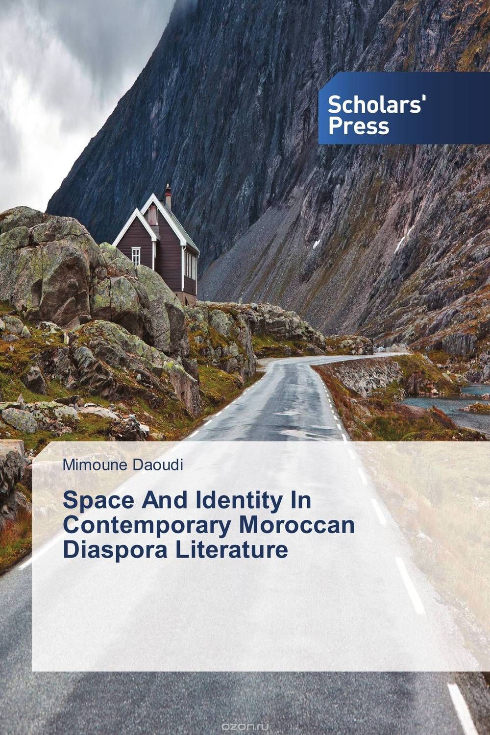 Скачать книгу "Space And Identity In Contemporary Moroccan Diaspora Literature"