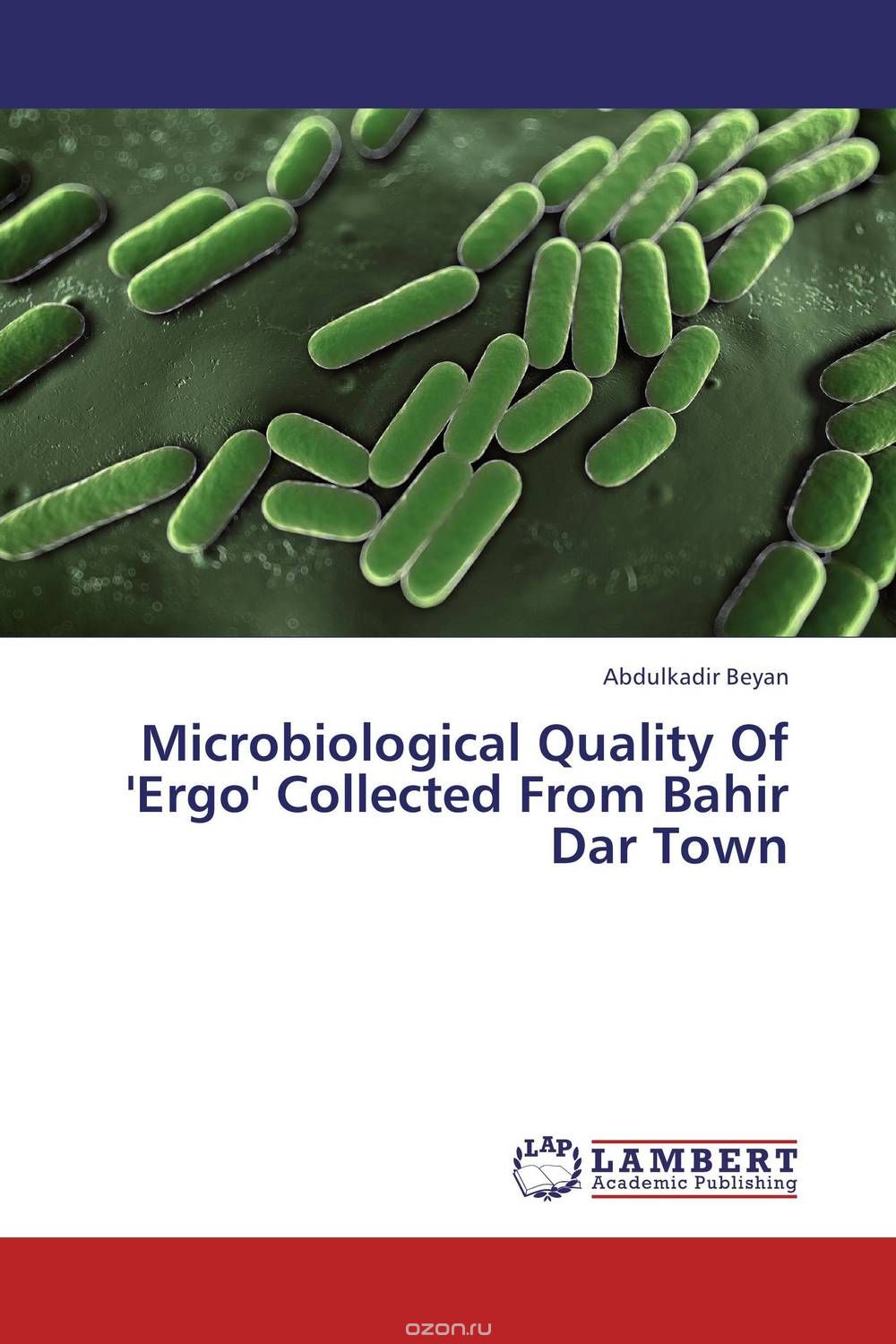 Microbiological Quality Of 'Ergo' Collected From Bahir Dar Town