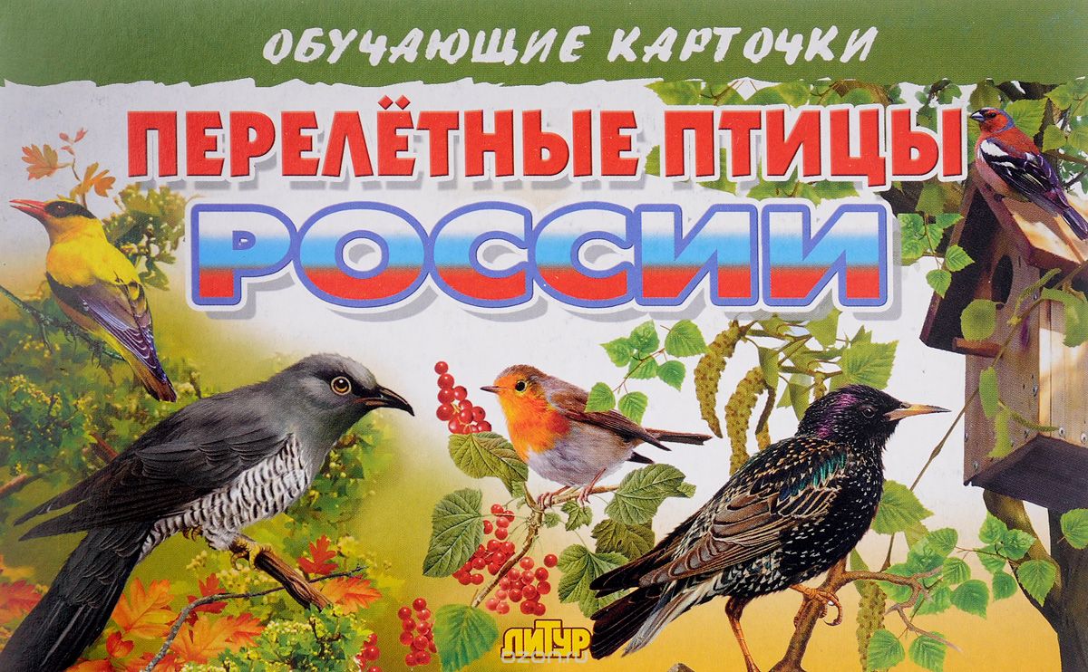 Скачать книгу "Перелетные птицы России. Обучающие карточки"