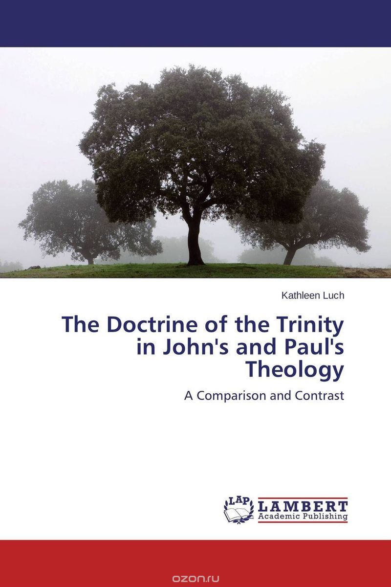 Скачать книгу "The Doctrine of the Trinity in John's and Paul's Theology"