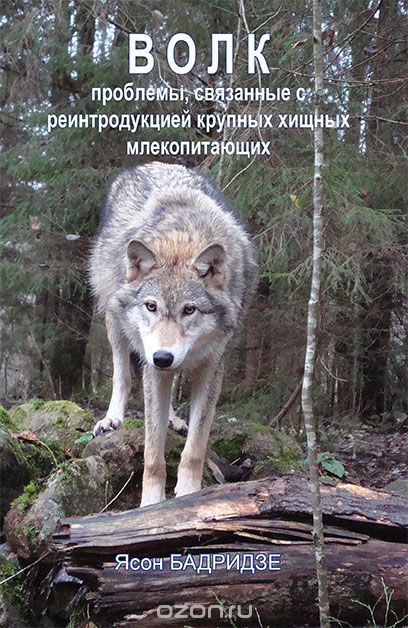 Скачать книгу "Волк. Проблемы, связанные с реинтродукцией крупных хищных млекопитающих, Ясон Бадридзе"