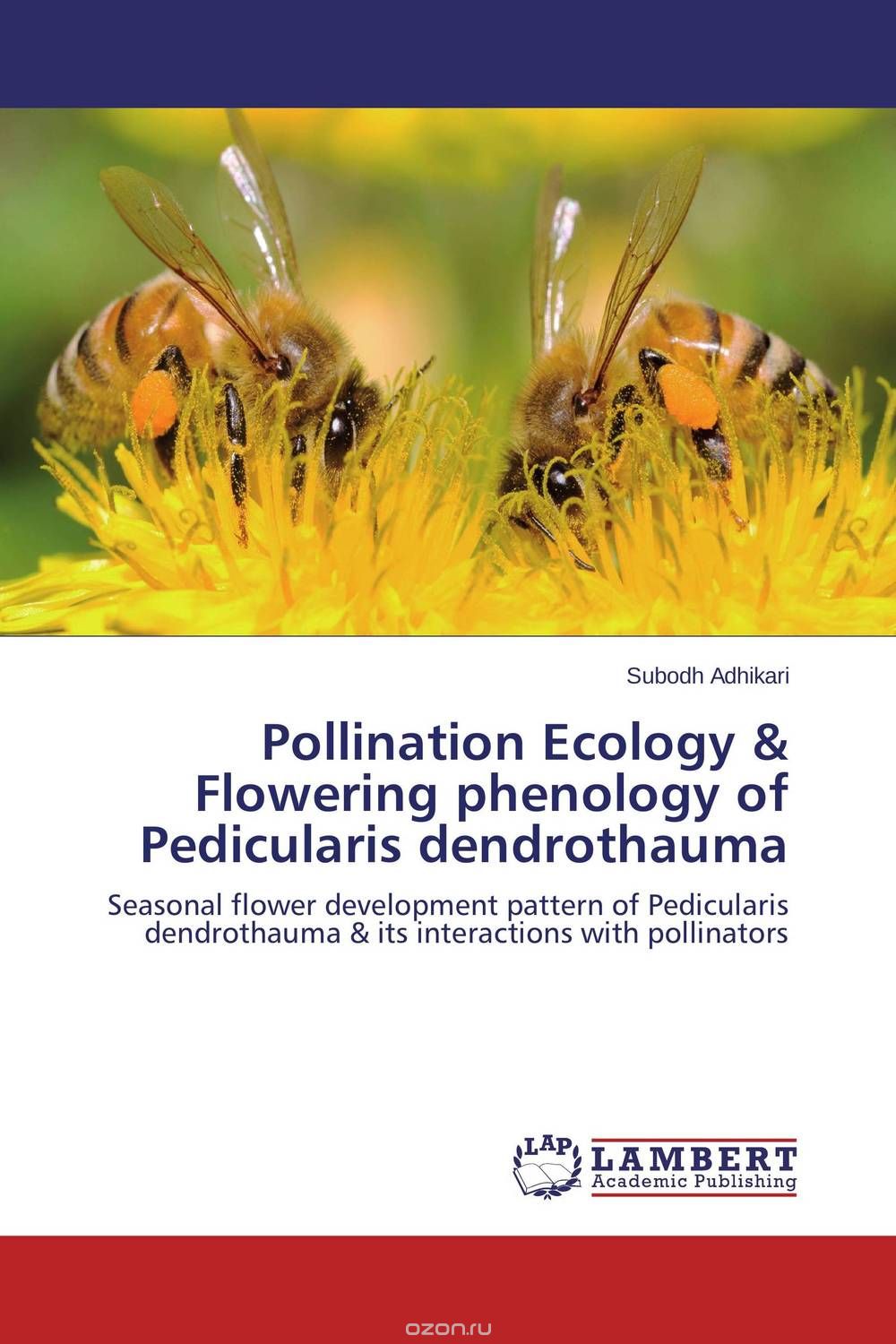 Скачать книгу "Pollination Ecology & Flowering phenology of Pedicularis dendrothauma"